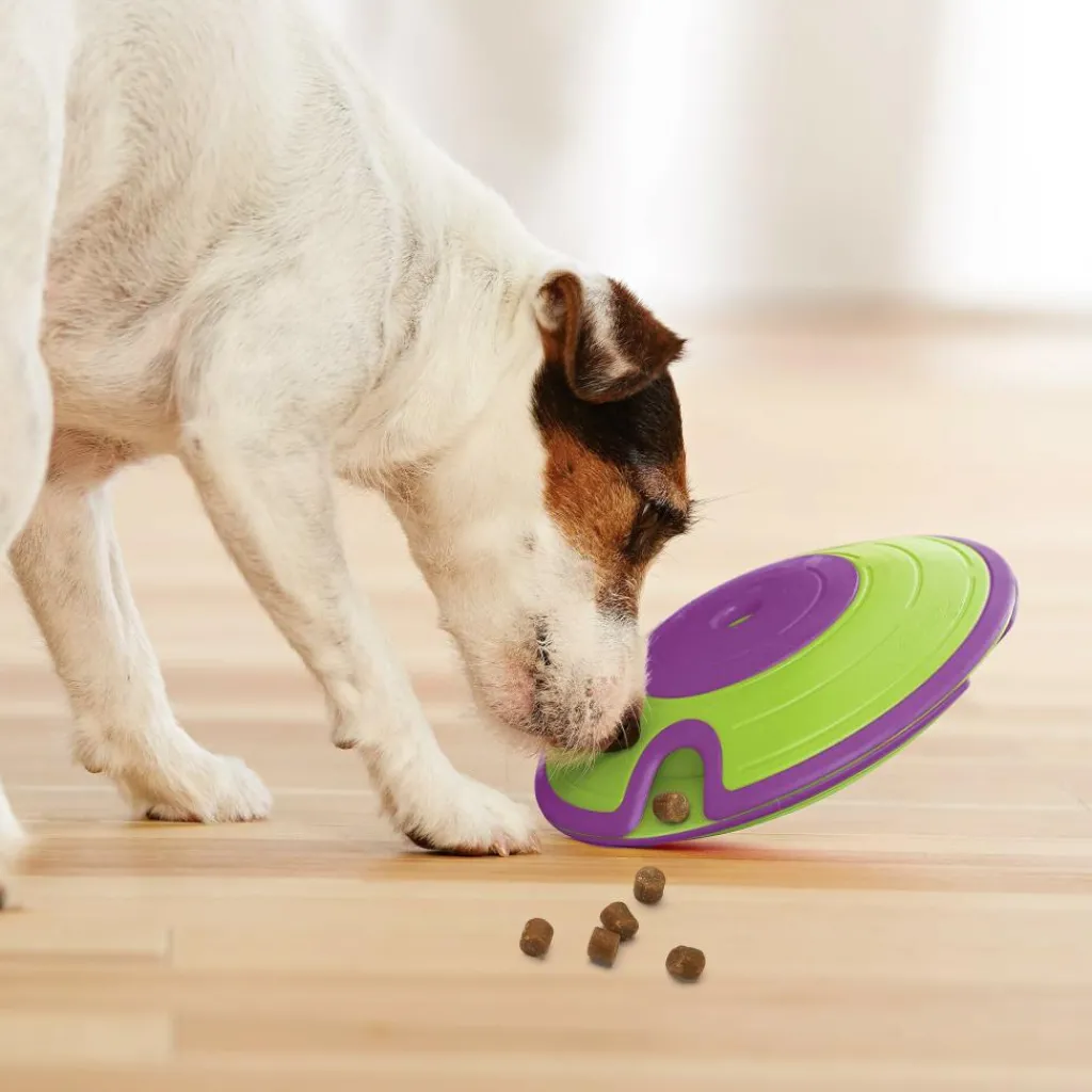 Hondenartikelen-Nina Ottosson Treat Maze hondenspeelgoed