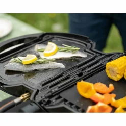 Accessoires-NomadiQ grillplaat