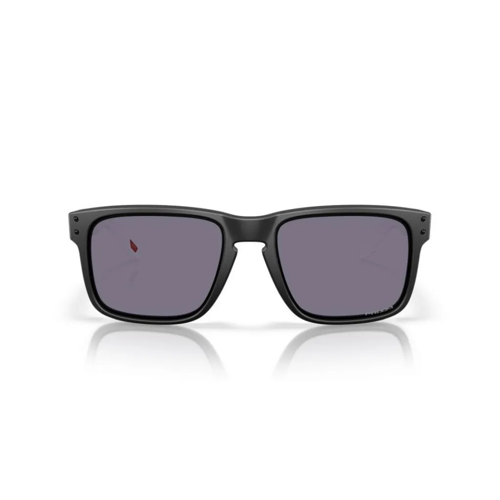Oakley Holbrook Duality zonnebril matte black< Zonnebrillen