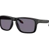Zonnebrillen-Oakley Holbrook XXL zonnebril prizm grey matte black