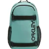 Overige Rugzakken-Oakley The Freshman Skate 15 inch laptop rugzak 20 liter  pacific