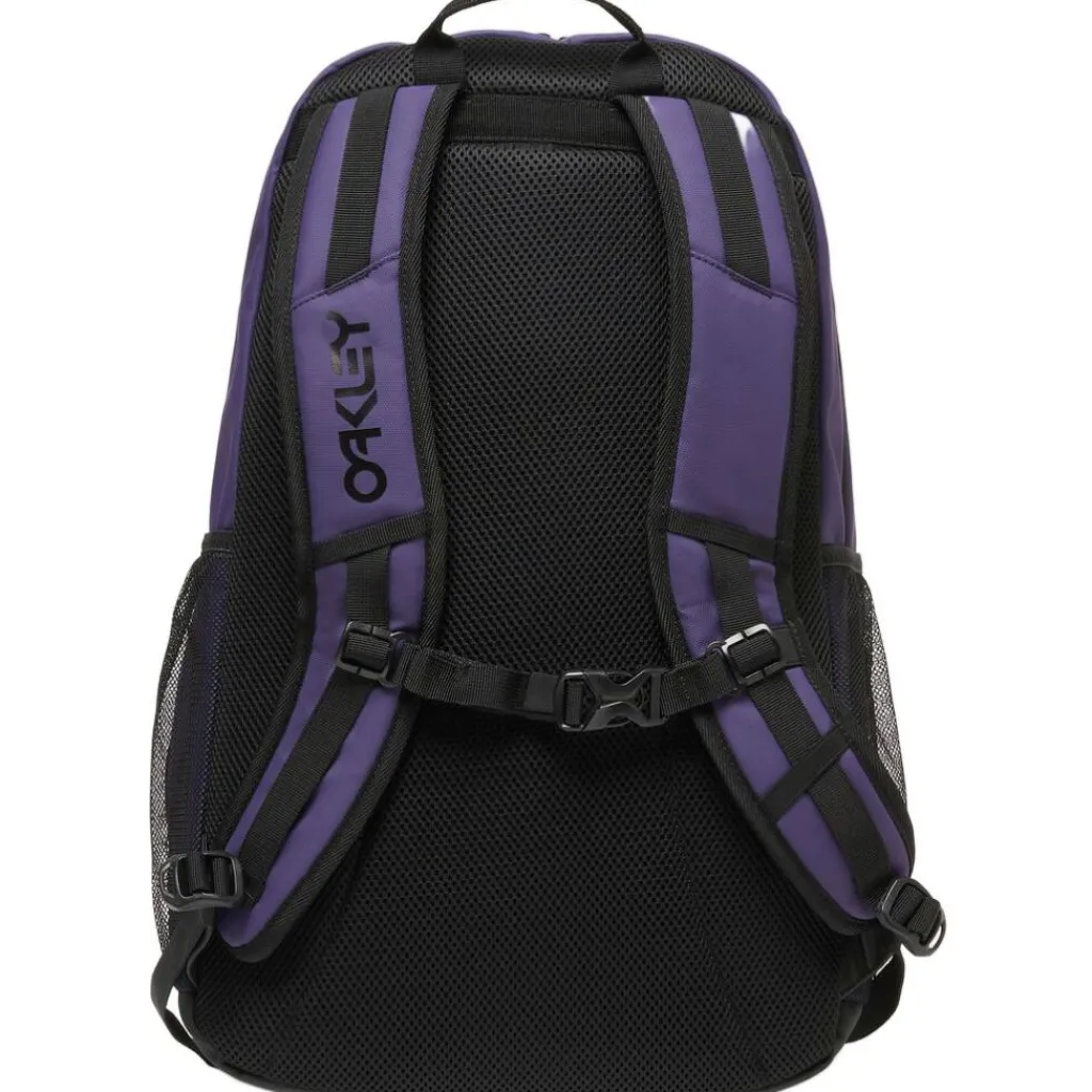 Overige Rugzakken-Oakley The Freshman Skate 15 inch laptop rugzak 20 liter deep amethyst
