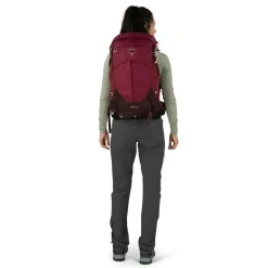 Overige Rugzakken-Osprey Sirrus 24 rugzak 24 liter dames elderberry purple chiru tan