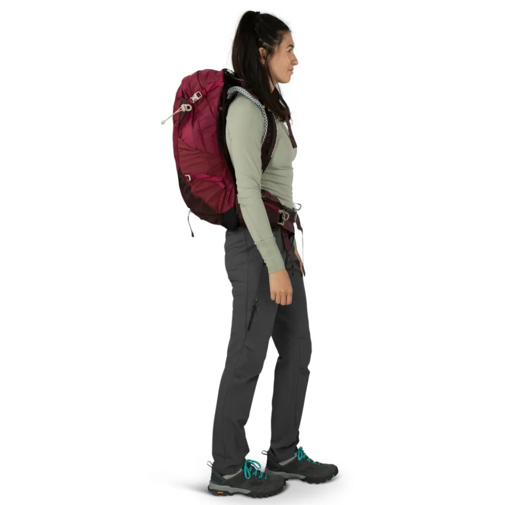 Overige Rugzakken-Osprey Sirrus 24 rugzak 24 liter dames elderberry purple chiru tan