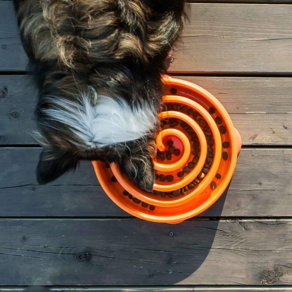 Outward Hound Fun Feeder Slo Bowl voerbak oranje< Hondenartikelen