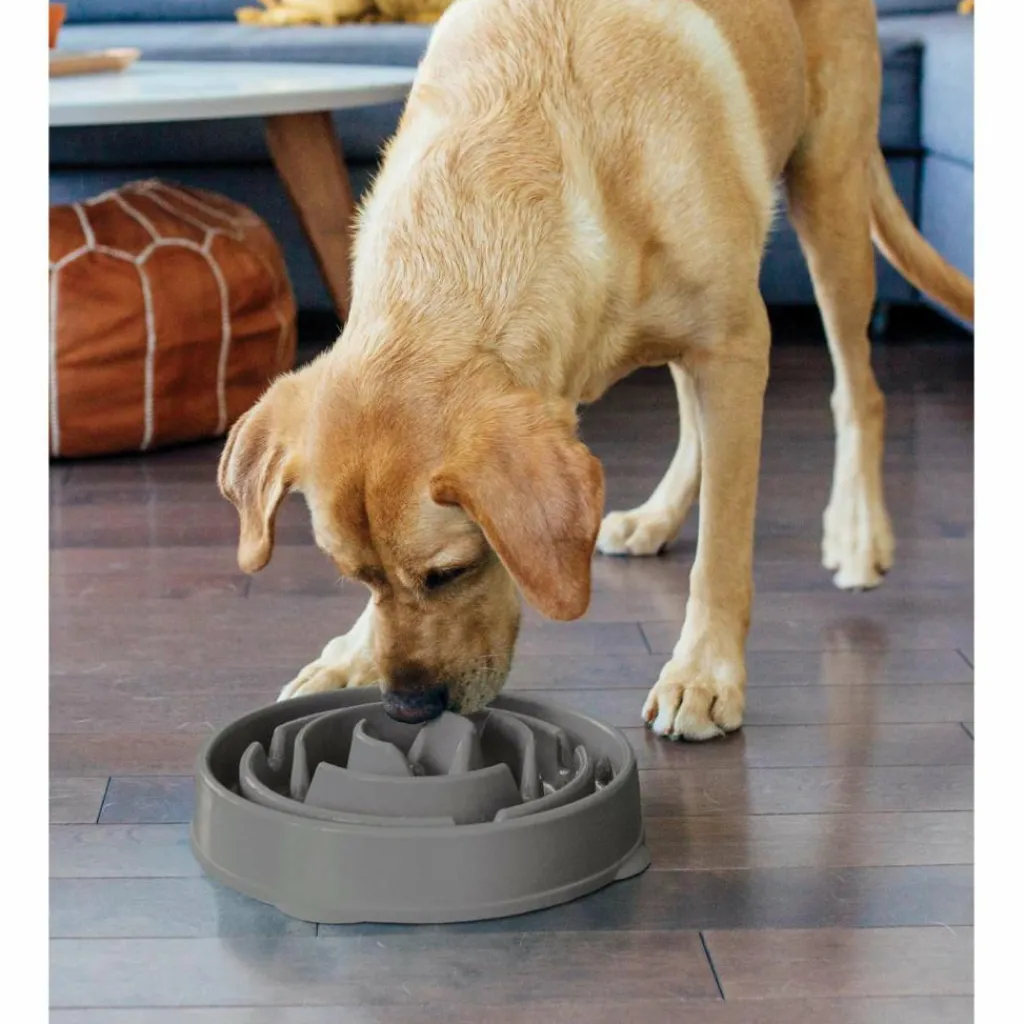 Outward Hound Fun Feeder Drop Large voerbak grey< Hondenartikelen