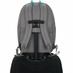 PacSafe GO Anti Theft rugzak 25 liter stone< Overige Rugzakken