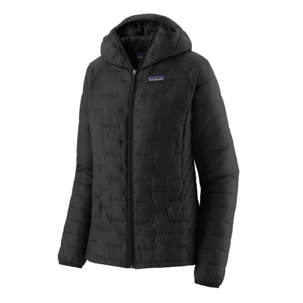 Outdoor Jack-Patagonia Micro Puff Hoody outdoor jack dames black