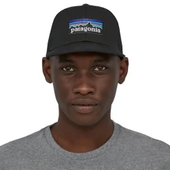 Patagonia P-6 Logo Trucker pet black< Outdoor Pet