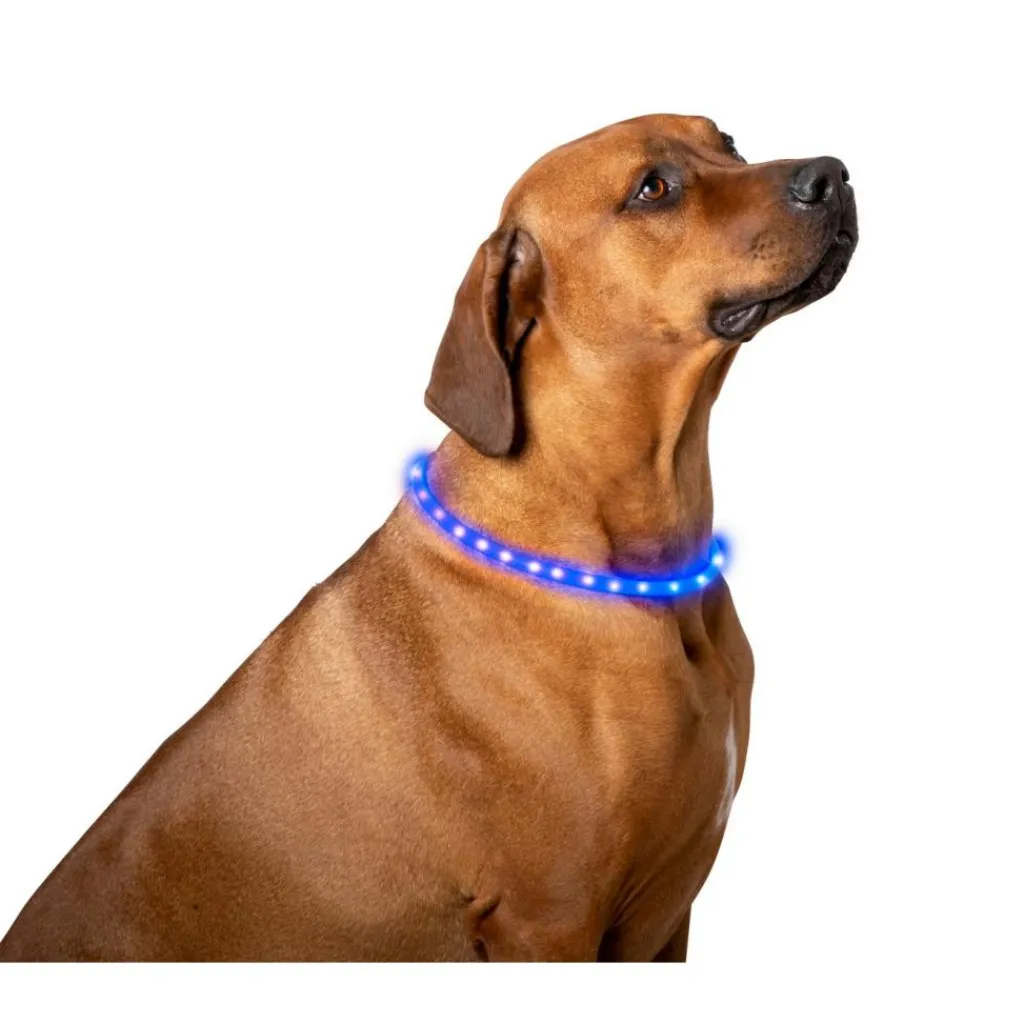 Pet Comfort LED hondenhalsband 2 kleuren assorti< Hondenartikelen