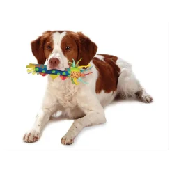 Petstages Cool Teething Stick hondenspeelgoed< Hondenartikelen