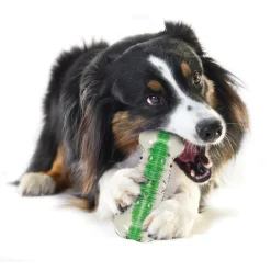 Hondenartikelen-Petstages Crunchcore hondenspeelgoed L