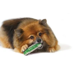 Hondenartikelen-Petstages Crunchcore hondenspeelgoed S