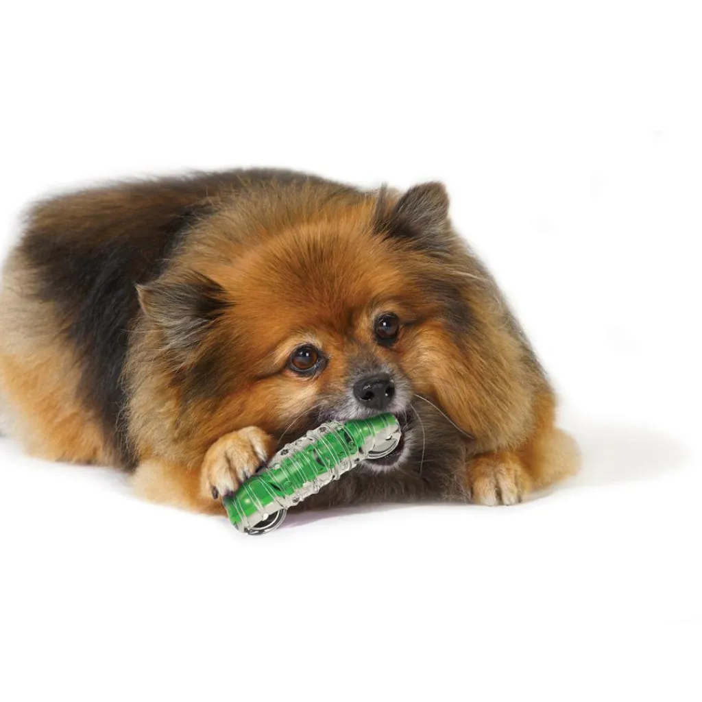 Hondenartikelen-Petstages Crunchcore hondenspeelgoed S