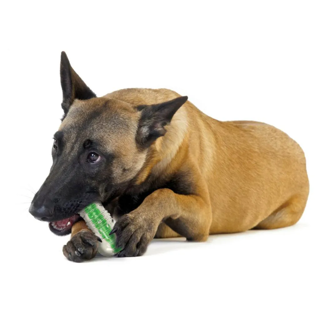 Petstages Crunchcore hondenspeelgoed M< Hondenartikelen