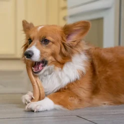 Hondenartikelen-Petstages Dogwood Flip & Chew hondenspeelgoed M