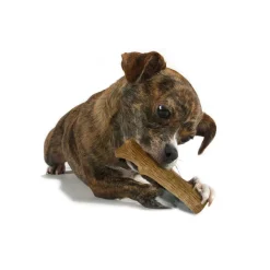 Hondenartikelen-Petstages Dogwood Stick hondenspeelgoed XS