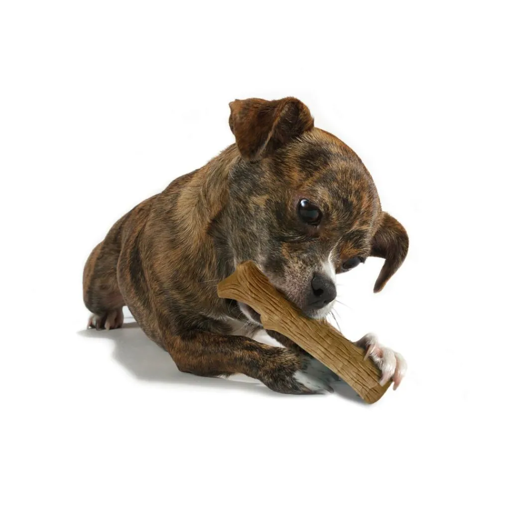 Hondenartikelen-Petstages Dogwood Stick hondenspeelgoed XS