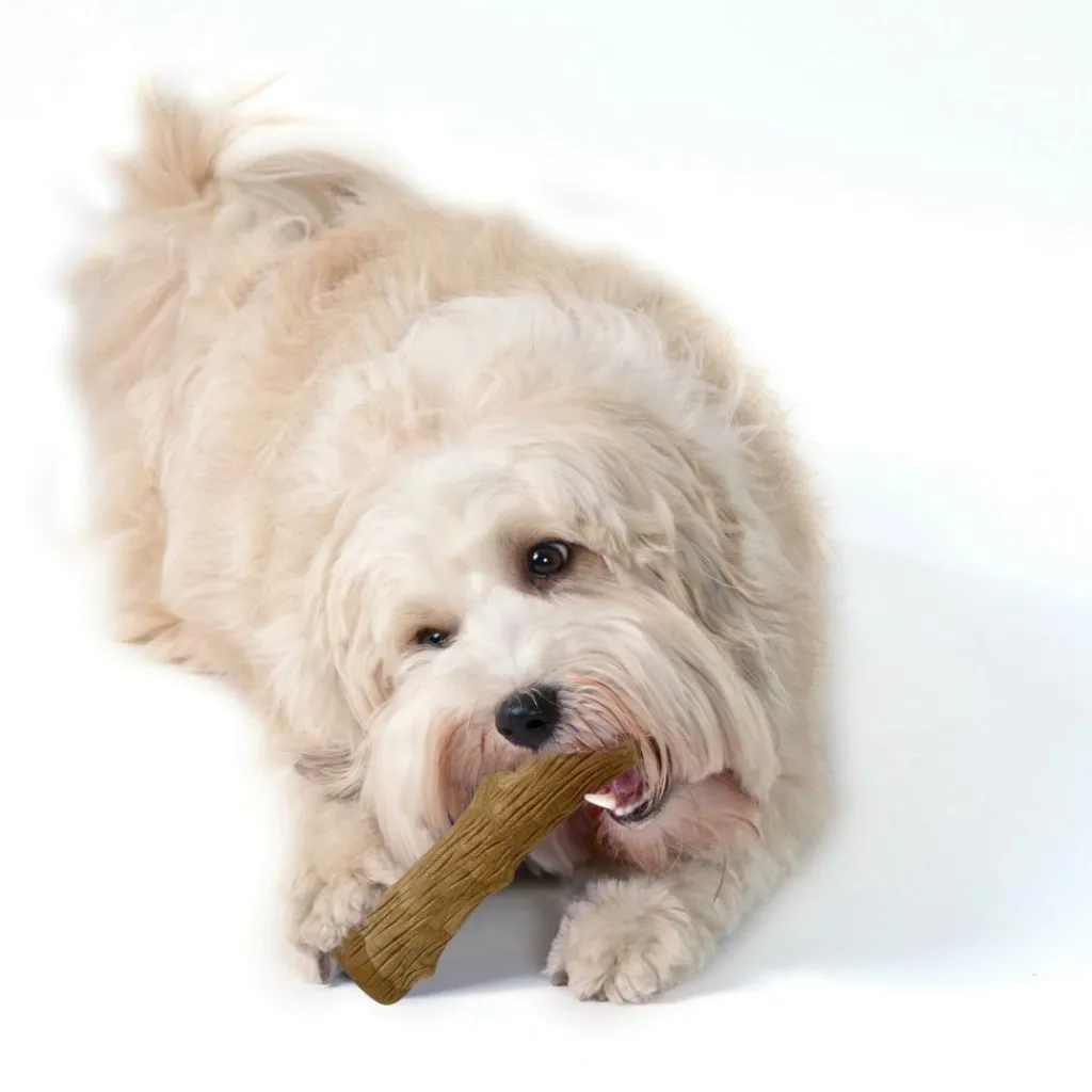 Petstages Dogwood Stick hondenspeelgoed S< Hondenartikelen