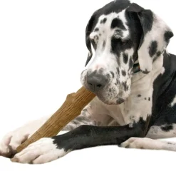 Petstages Dogwood stick hondenspeelgoed L< Hondenartikelen