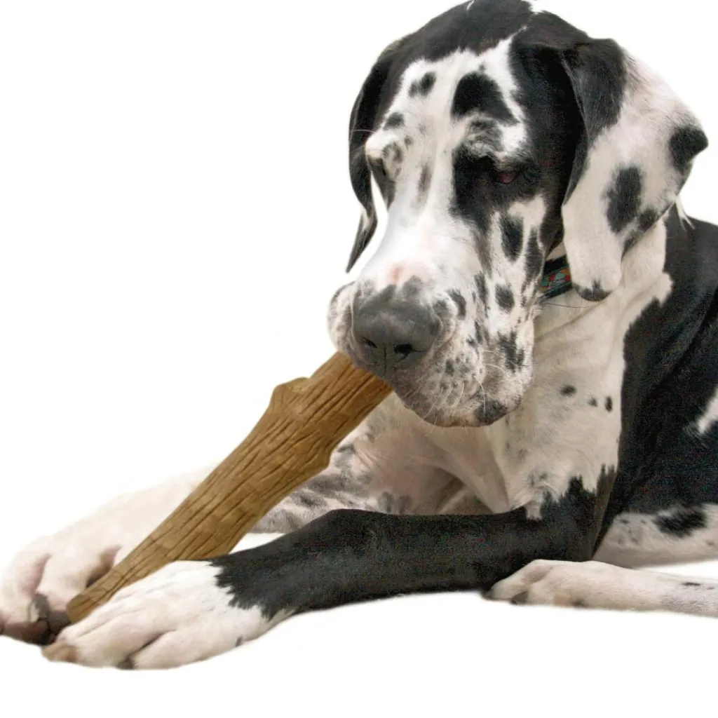 Petstages Dogwood stick hondenspeelgoed L< Hondenartikelen