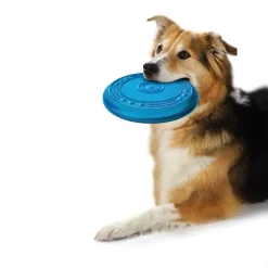 Hondenartikelen-Petstages Orka Flyer hondenspeelgoed