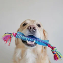 Hondenartikelen-Petstages Orka Stick hondenspeelgoed