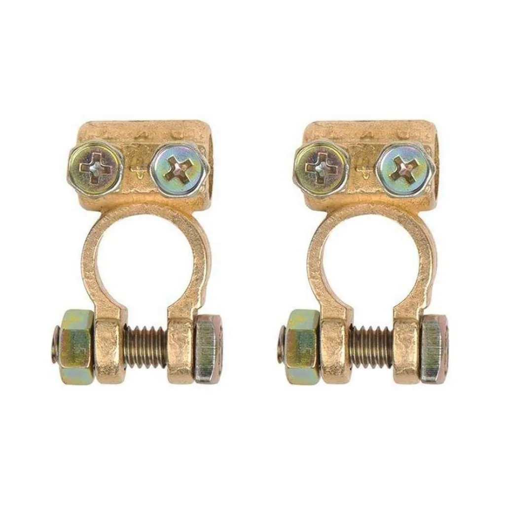 ProPlus Accupoolklemmenset< Accu's & Batterijen