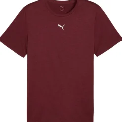 Puma TAD ESSENTIALS shirt heren ruby shimmer heather< Sportshirt