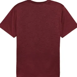 Puma TAD ESSENTIALS shirt heren ruby shimmer heather< Sportshirt