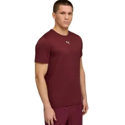 Puma TAD ESSENTIALS shirt heren ruby shimmer heather< Sportshirt