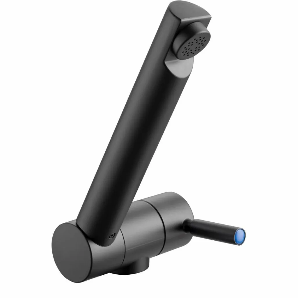 Kranen-Reich Trend B koudwaterkraan zwart boorgat 27 mm