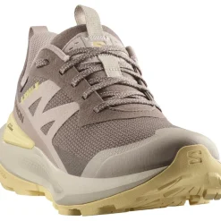 Wandelen|Wandelschoenen-Salomon ELIXIR ACTIV GORE-TEX wandelschoenen dames iron etherea tuc sunlight