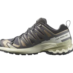 Hardloopschoenen-Salomon XA PRO 3D V9 GORE-TEX hardloopschoenen dames nine iron oxford tan alfalfa