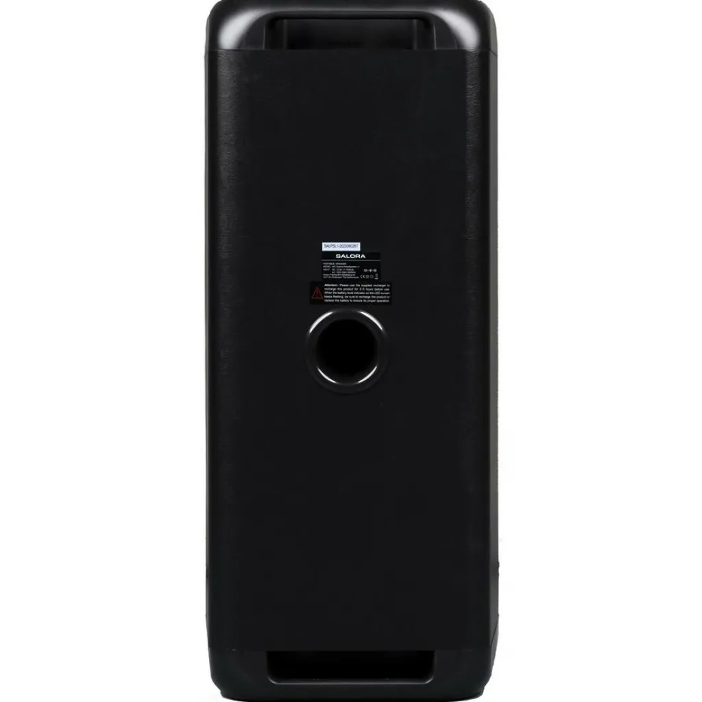 Audio & Video-Salora PartySpeaker L1