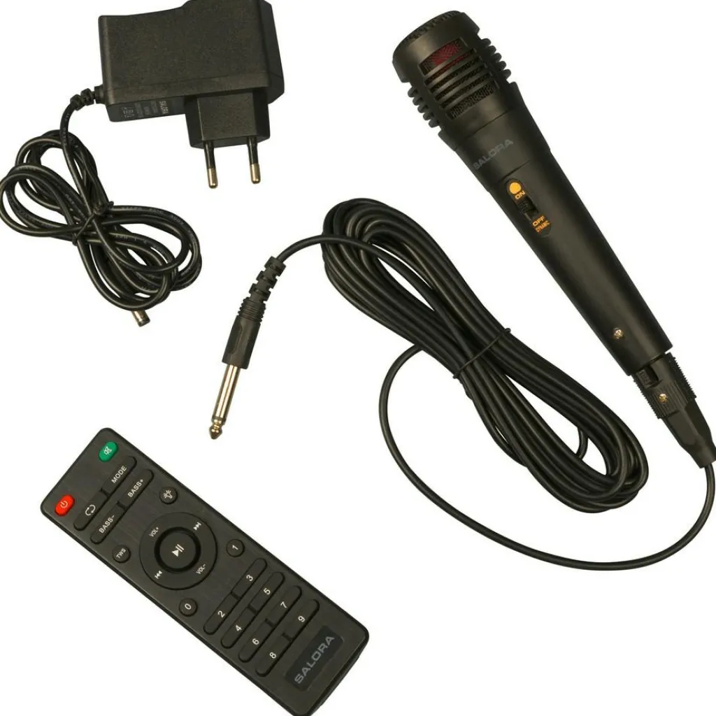 Audio & Video-Salora PartySpeaker XL1