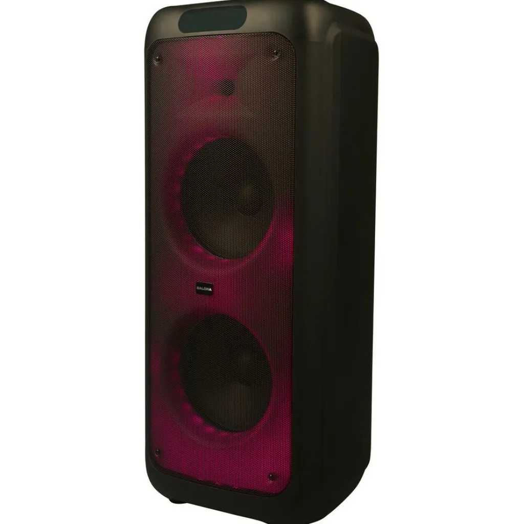Audio & Video-Salora PartySpeaker XL1