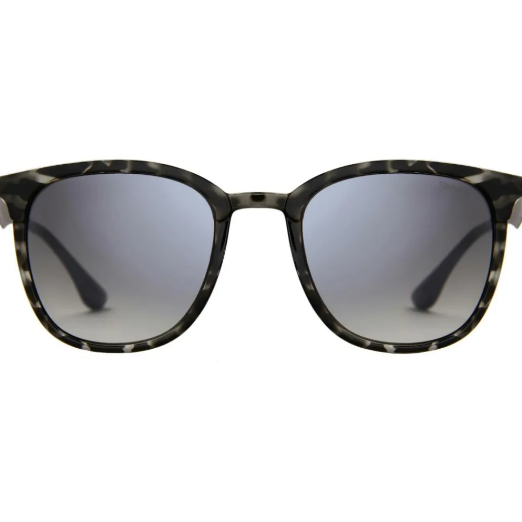 Zonnebrillen-Sinner Cowell zonnebril gradient smoke matte black grey tortoise