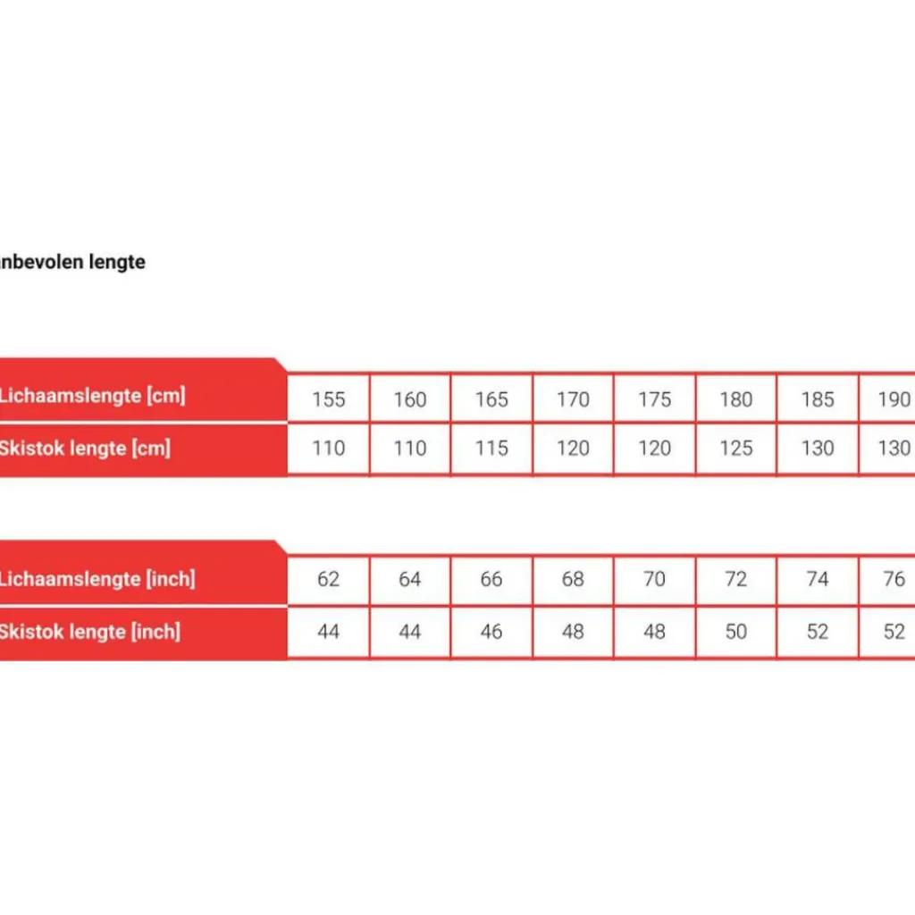Skistokken|Wintersport-Slokki Skistokken zwart - 110 cm