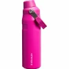 Stanley PMI  Iceflow Bottle Fast Flow thermosfles 710 ml violet blossom< Drinkflessen