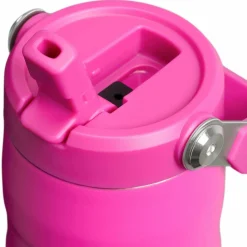 Drinkflessen-Stanley PMI Iceflow Bottle Flip Straw 2.0 thermosfles 470 ml violet blossom