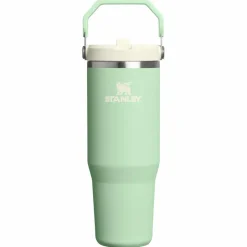 Drinkflessen-Stanley PMI Iceflow Flip Straw Tumbler thermosbeker 890 ml pistachio