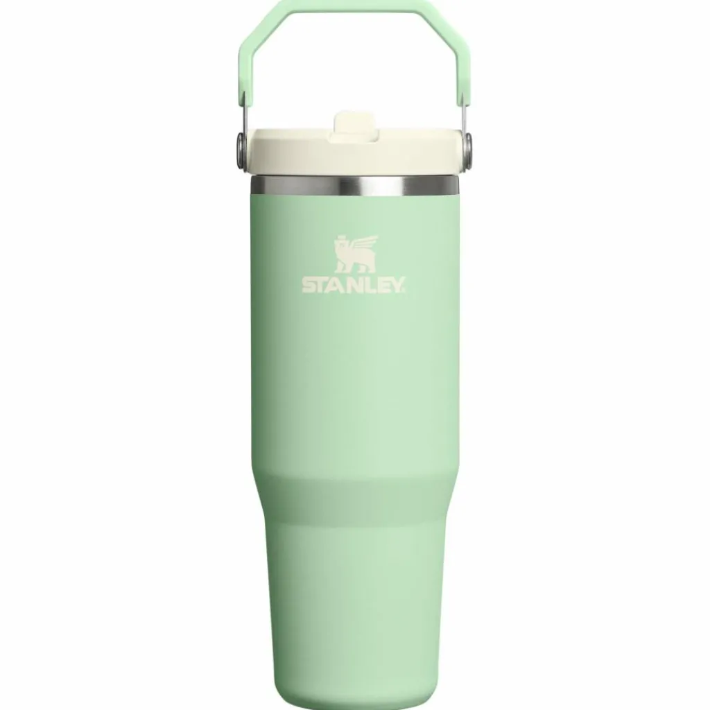 Drinkflessen-Stanley PMI Iceflow Flip Straw Tumbler thermosbeker 890 ml pistachio