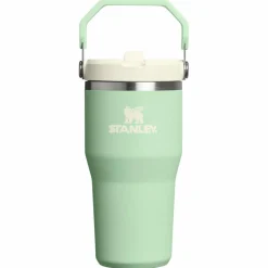 Drinkflessen-Stanley PMI Iceflow Flip Straw Tumbler thermosbeker 590 ml pistachio
