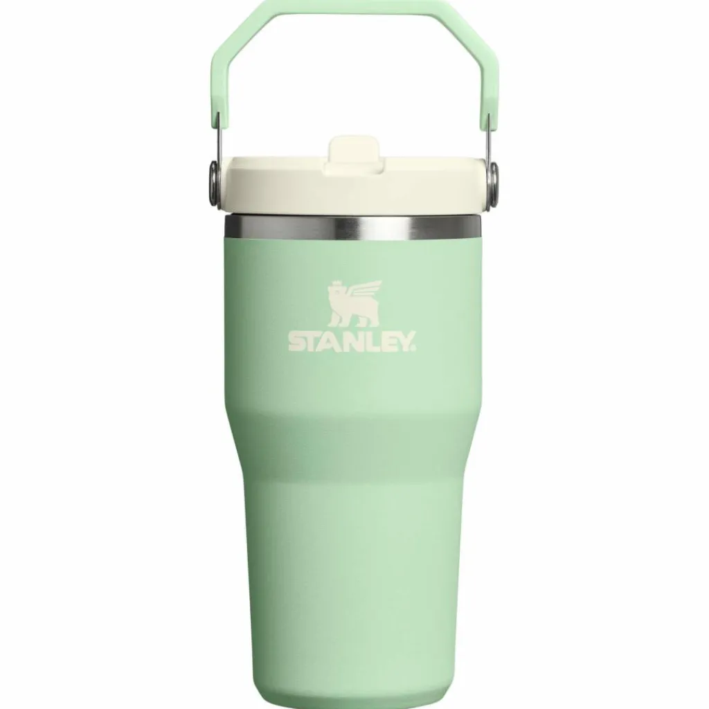 Drinkflessen-Stanley PMI Iceflow Flip Straw Tumbler thermosbeker 590 ml pistachio