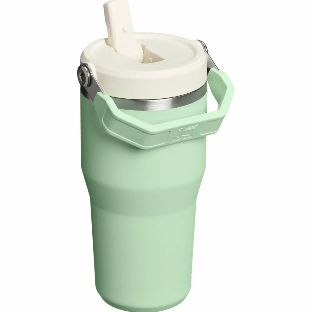 Drinkflessen-Stanley PMI Iceflow Flip Straw Tumbler thermosbeker 590 ml pistachio