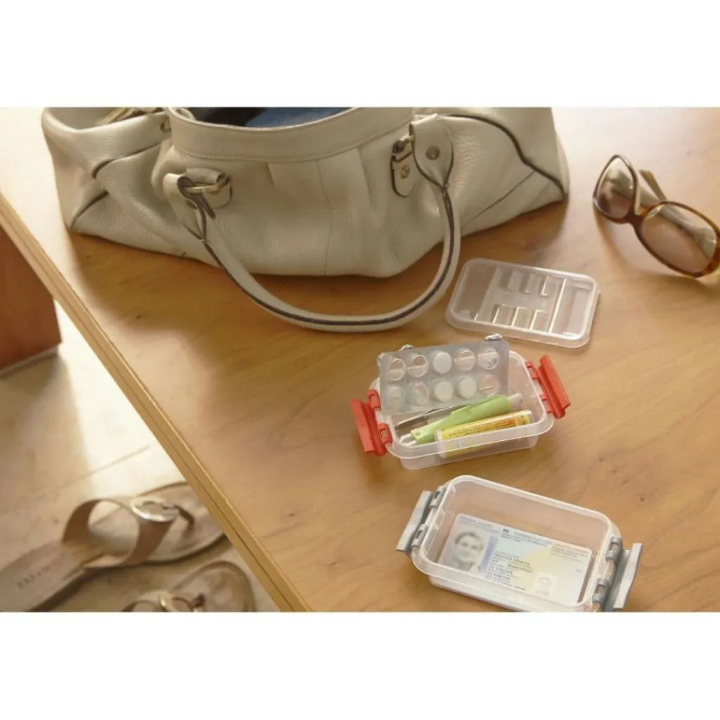 Sunware Q-Line opbergbox 0,2 liter transparant metallic< Opbergboxen & Kratten