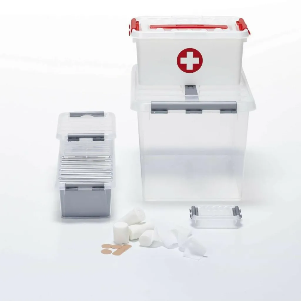 Sunware Q-Line opbergbox 0,2 liter transparant metallic< Opbergboxen & Kratten