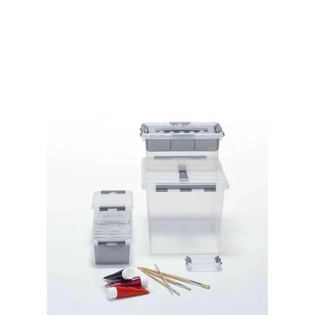 Sunware Q-Line opbergbox 0,2 liter transparant metallic< Opbergboxen & Kratten