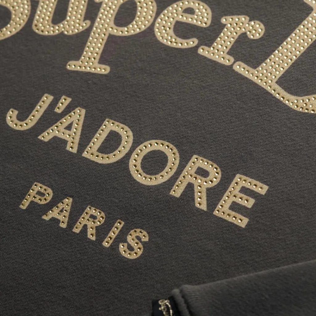 Truien & Vesten-Superdry Brand Mark sweater dames vintage black